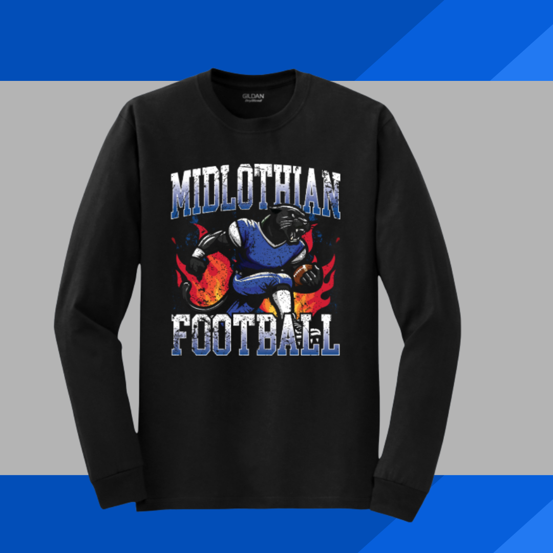 PANTHERS ON FIRE