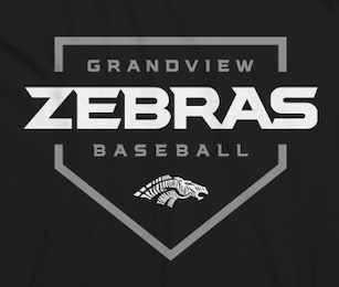 GZSSFALL - Baseball Fan