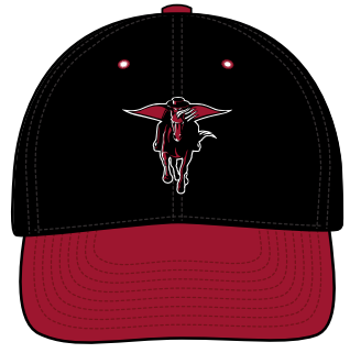 RBB26 -  RAIDERS HAT