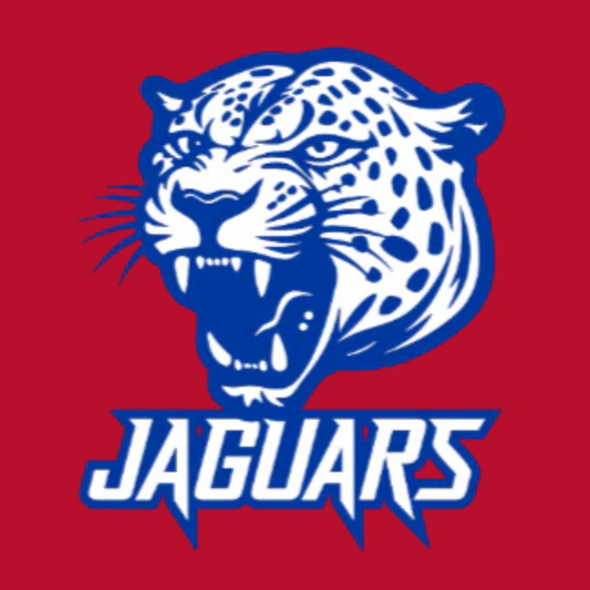 HHSBEL25 - Jaguars Head
